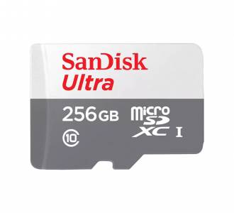 CARTAO MICRO SD 256 GB SANDISK CLASSE 10 SDSQUNR-256G-GN6TA